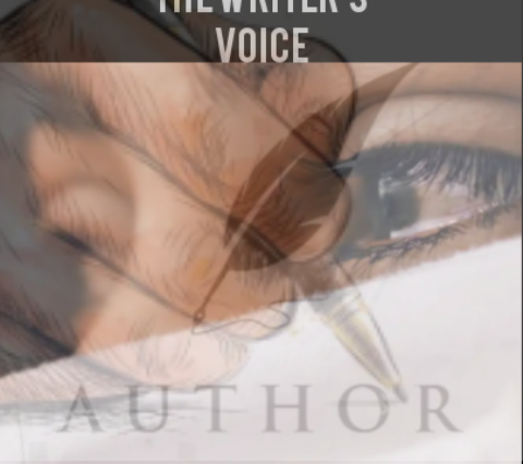 The writer’s voice👩‍💻✍️by Stella .E. Powers
